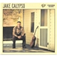 Jake Calypso - 100 Miles